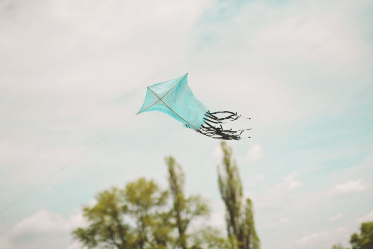 blue kite with black tail in flight