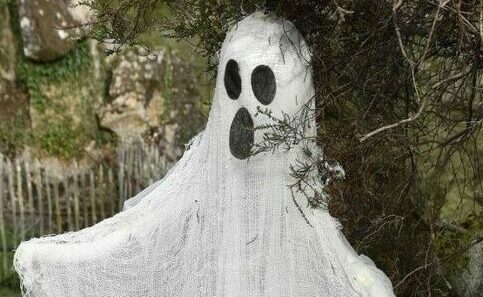 Fantômes Merle ©B.Bardi