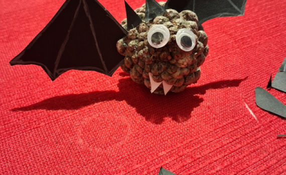 Atelier chauve souris©MaïwennHipplerJacob (2)