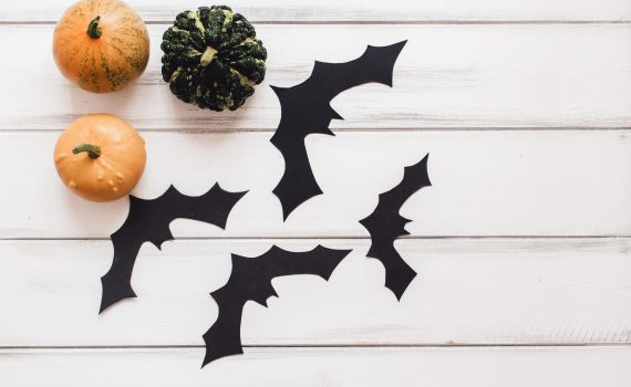 Atelier chauves souris libre de droit